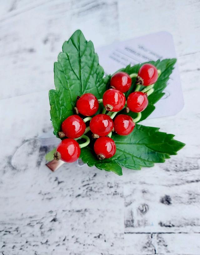 Clip with red currant